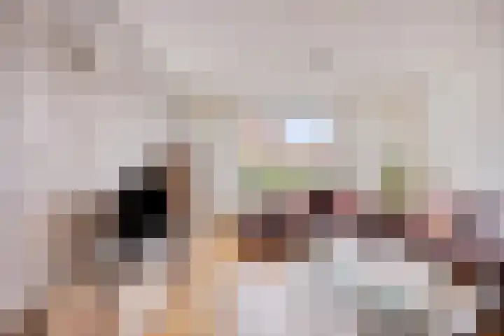 Begoniastraat 3 Losser thumbnail 9