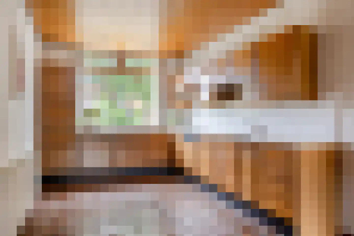 Begoniastraat 3 Zwolle thumbnail 10