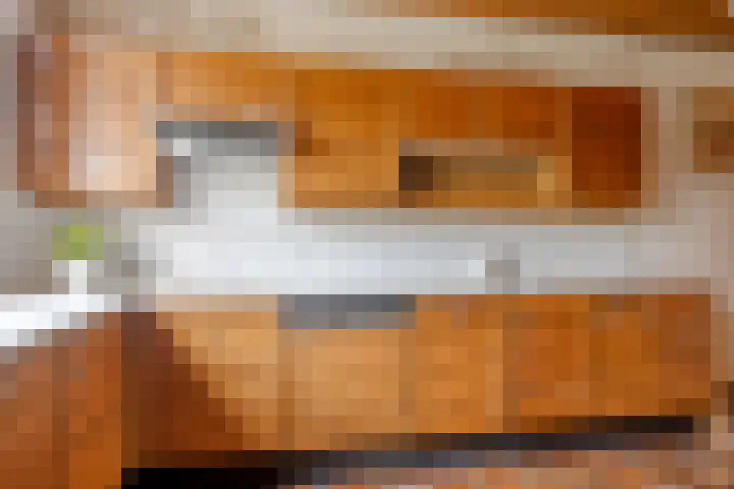 Begoniastraat 3 Zwolle thumbnail 11