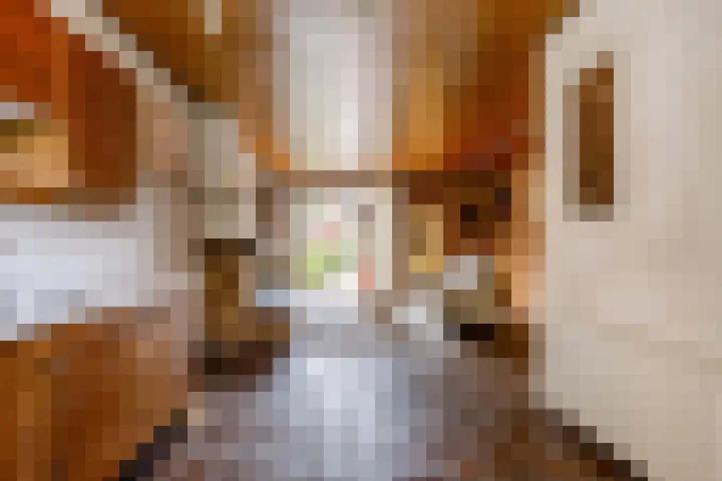 Begoniastraat 3 Zwolle thumbnail 12