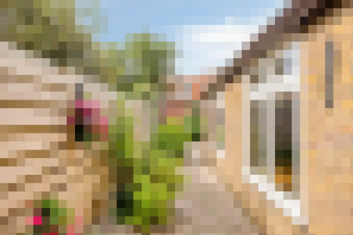Begoniastraat 3 Zwolle thumbnail 28