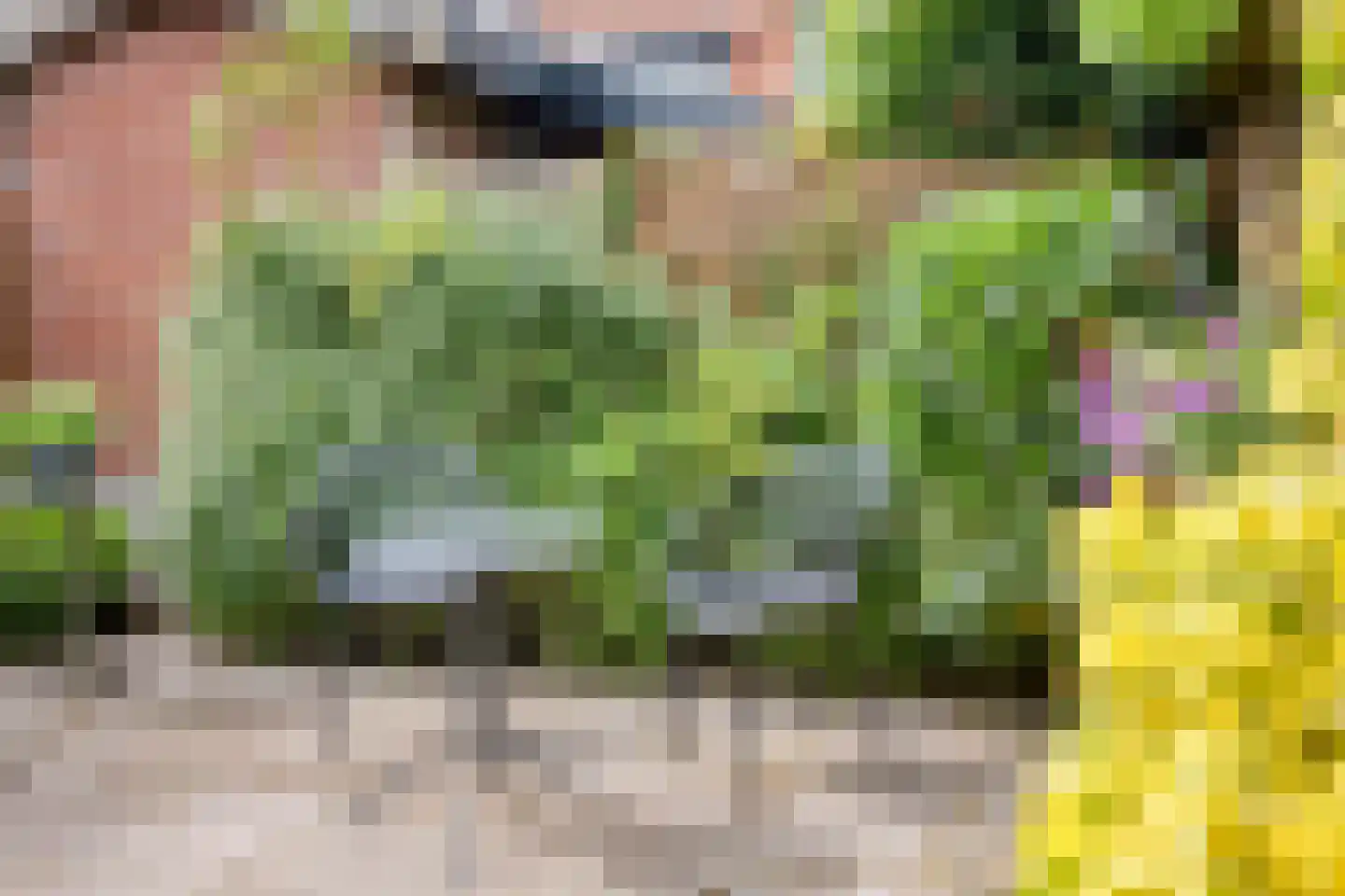 Begoniastraat 3 Zwolle thumbnail 30
