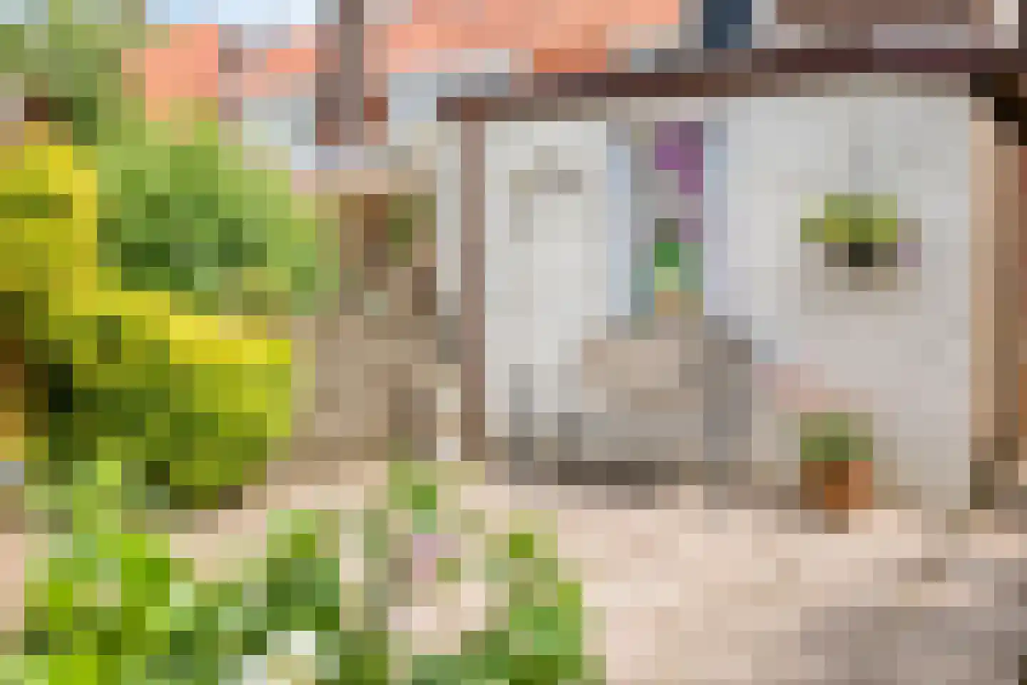 Begoniastraat 3 Zwolle thumbnail 33