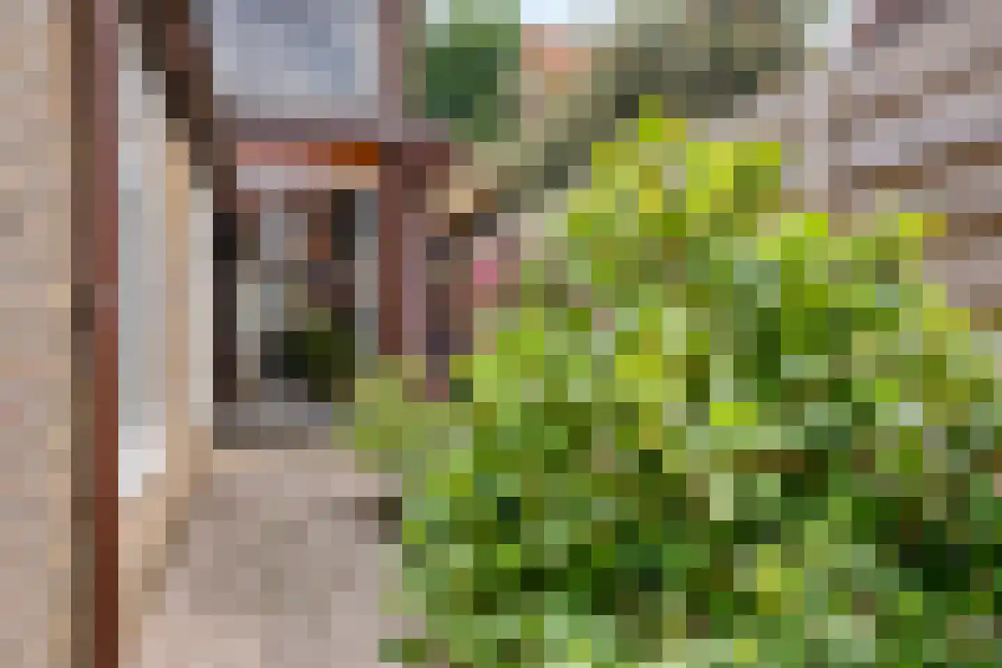 Begoniastraat 3 Zwolle thumbnail 35