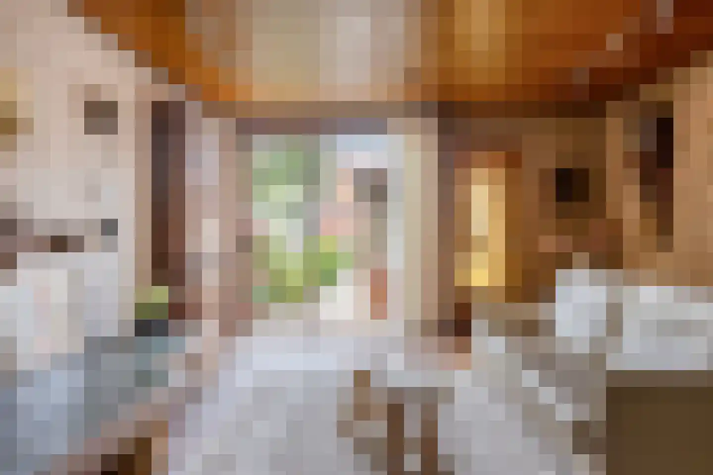 Begoniastraat 3 Zwolle thumbnail 5