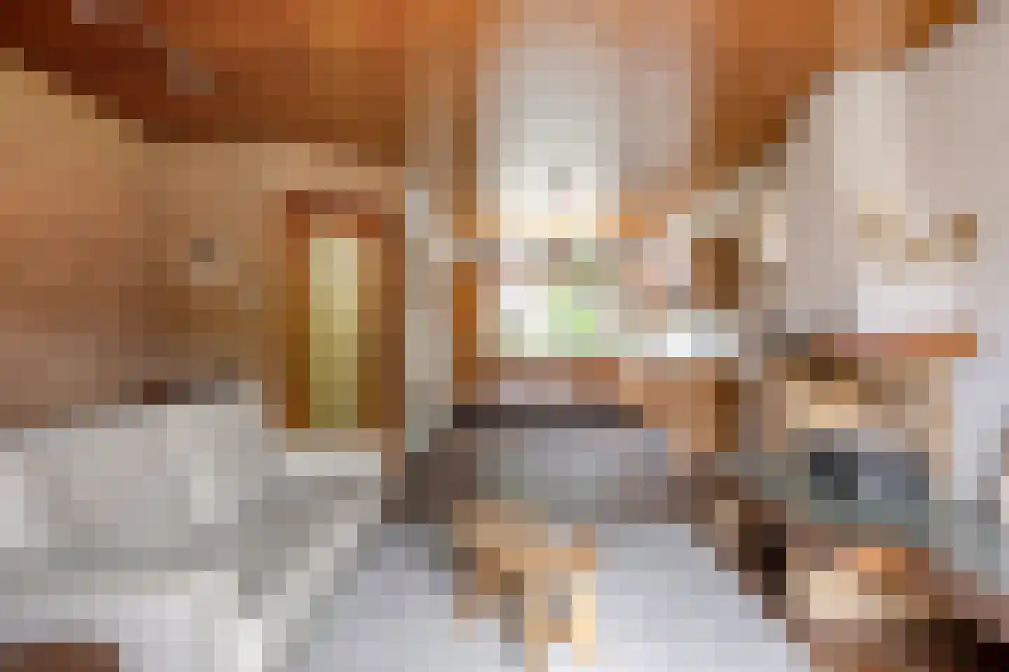 Begoniastraat 3 Zwolle thumbnail 6