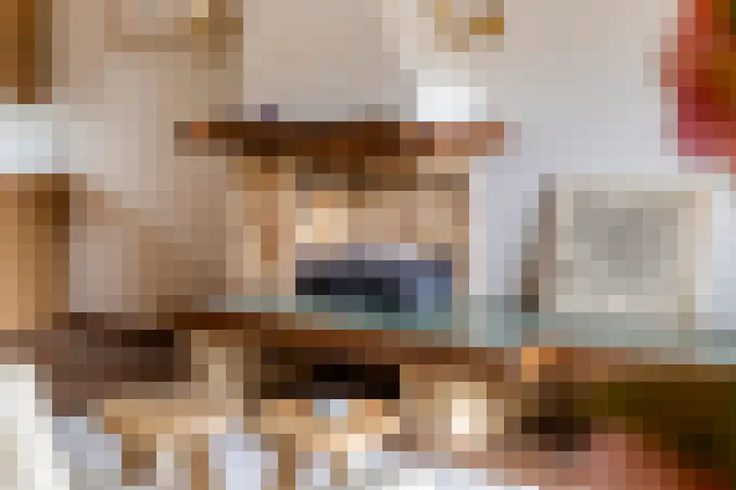 Begoniastraat 3 Zwolle thumbnail 7
