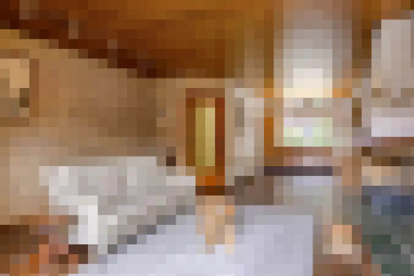 Begoniastraat 3 Zwolle thumbnail 8