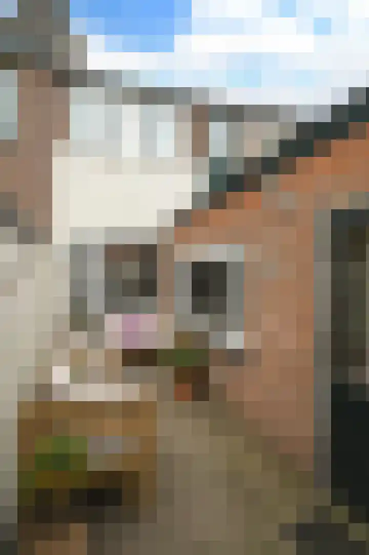 Begoniastraat 30 Hilversum thumbnail 12