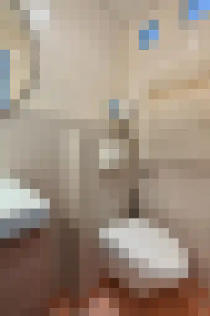 Begoniastraat 30 Hilversum thumbnail 17