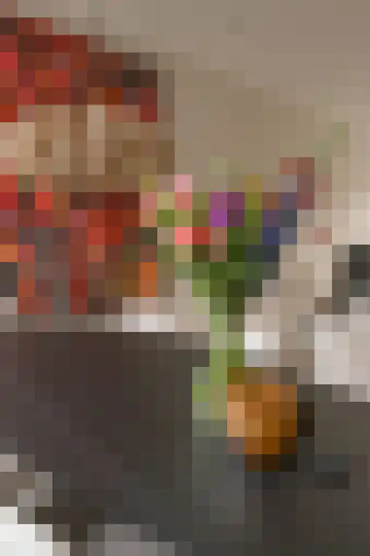 Begoniastraat 30 Hilversum thumbnail 6