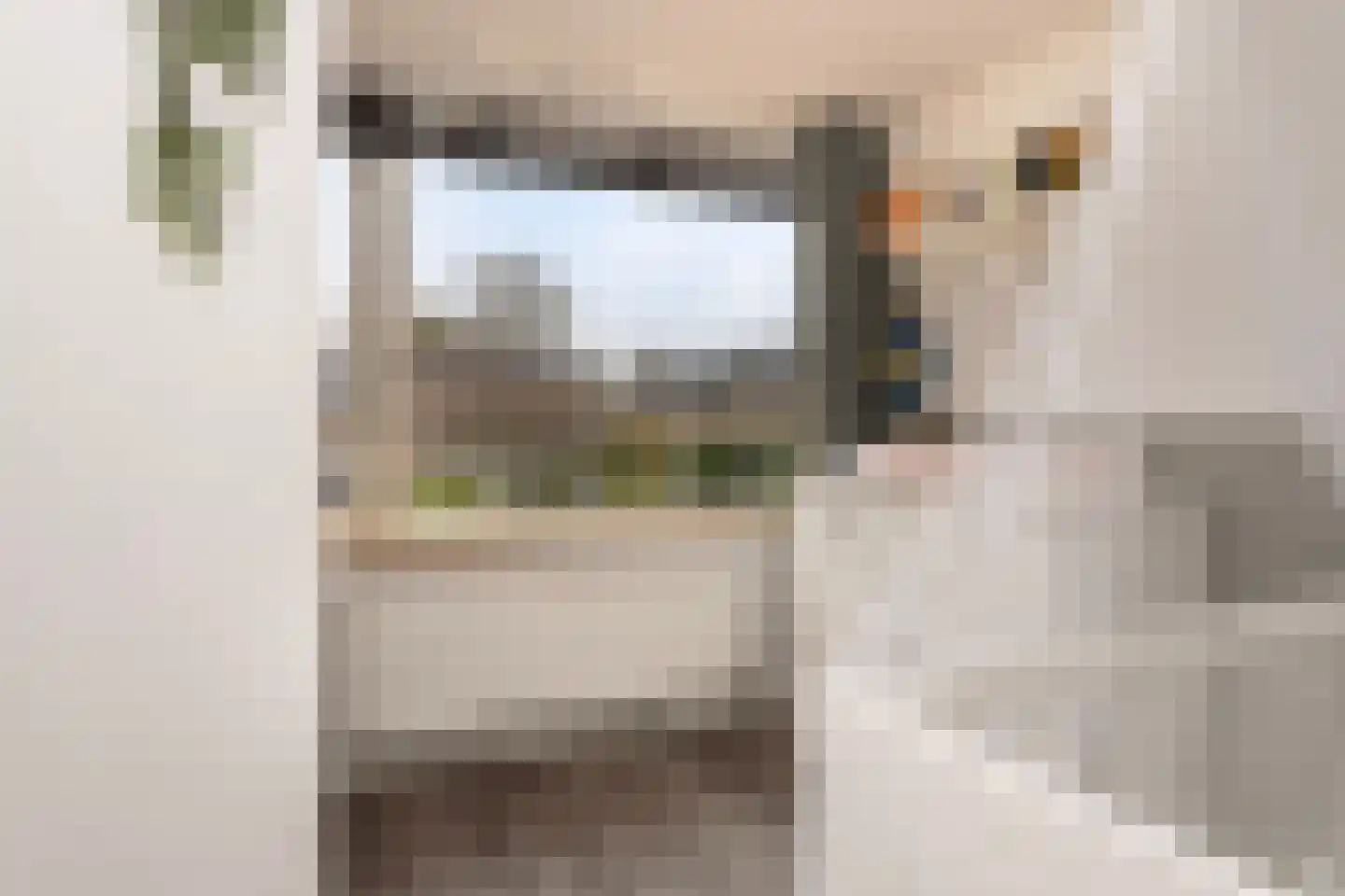 Begoniastraat 31 Leeuwarden thumbnail 24