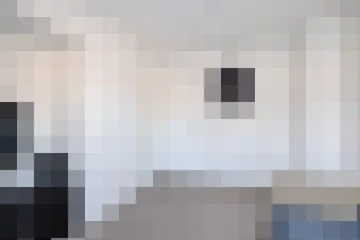 Begoniastraat 31 Losser thumbnail 22