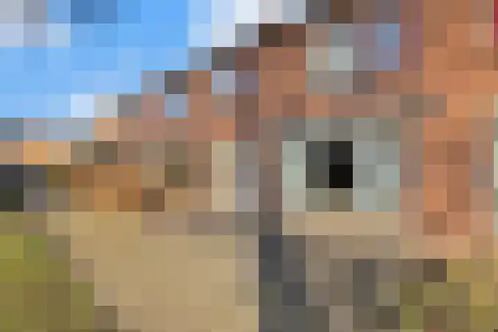 Begoniastraat 31 Losser thumbnail 34