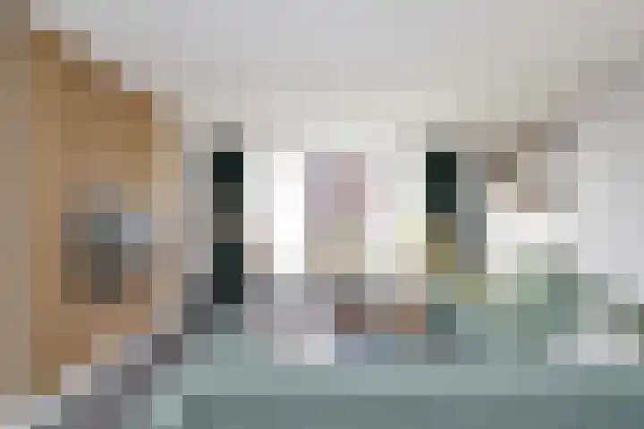 Begoniastraat 31 Losser thumbnail 7