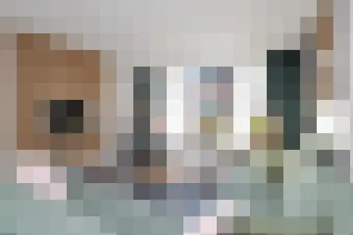 Begoniastraat 31 Losser thumbnail 9