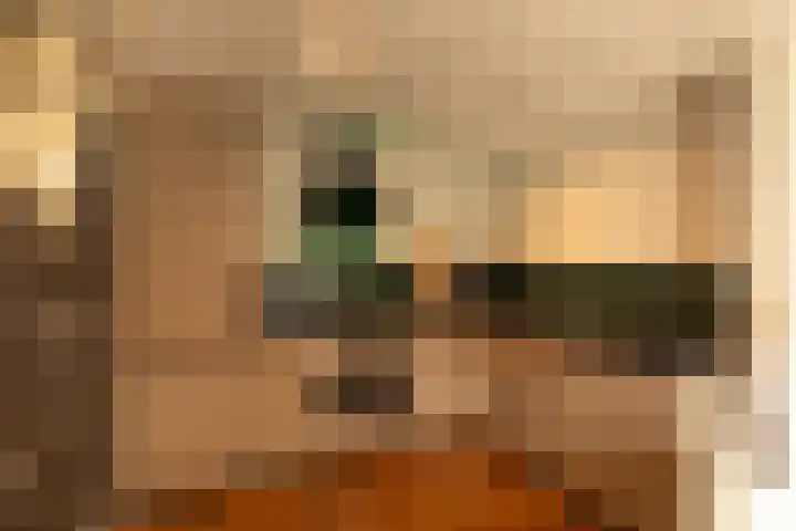 Begoniastraat 32 Hilversum thumbnail 11