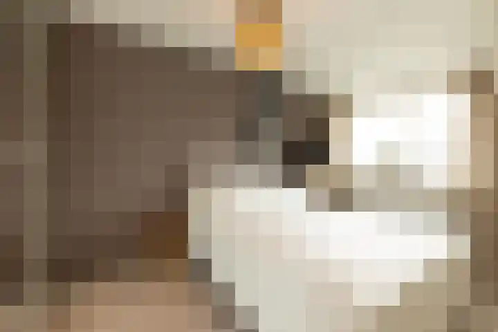 Begoniastraat 32 Hilversum thumbnail 15