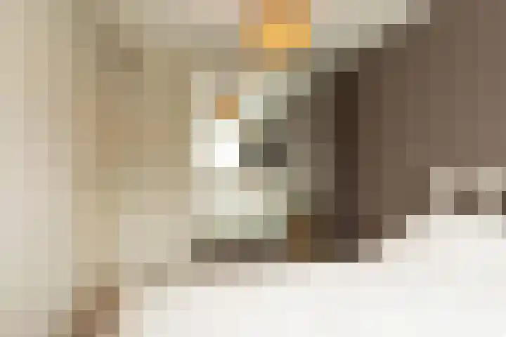Begoniastraat 32 Hilversum thumbnail 16