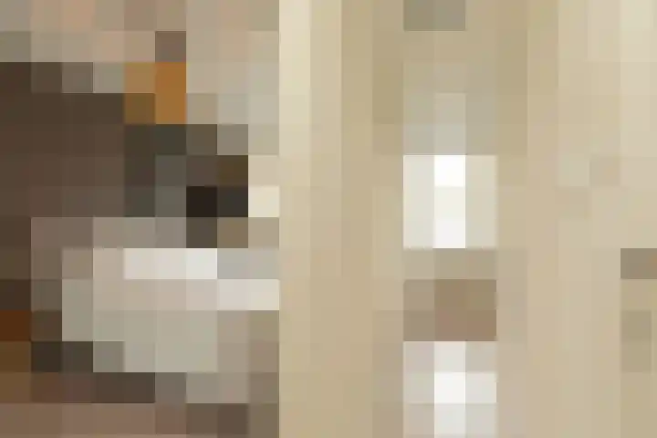 Begoniastraat 32 Hilversum thumbnail 17