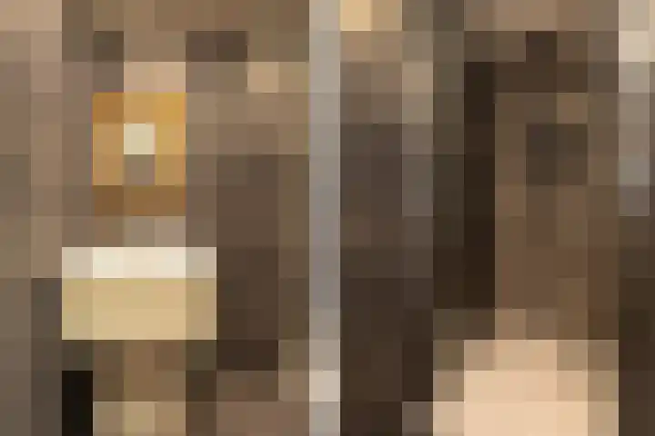 Begoniastraat 32 Hilversum thumbnail 18