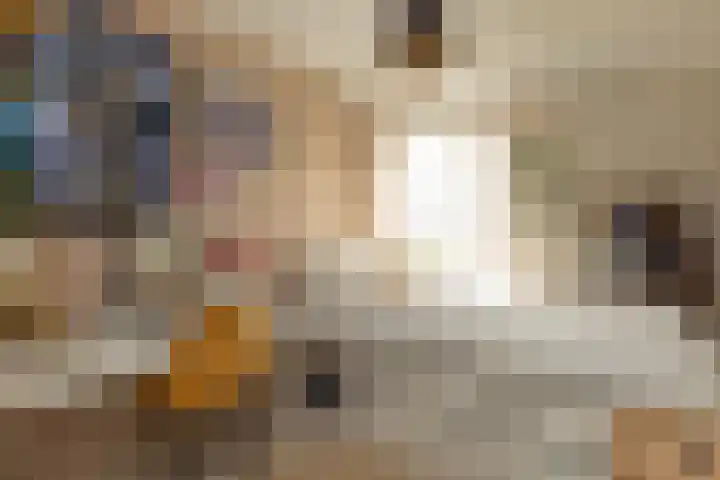 Begoniastraat 32 Hilversum thumbnail 21