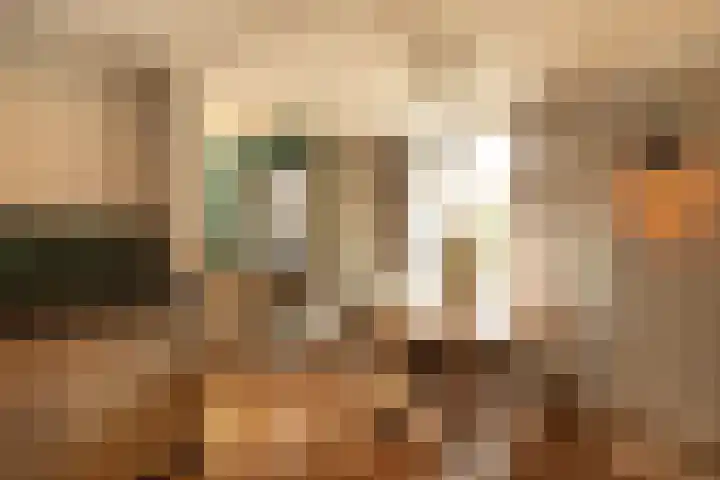 Begoniastraat 32 Hilversum thumbnail 9