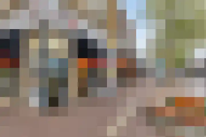 Begoniastraat 33 A Hilversum thumbnail 23