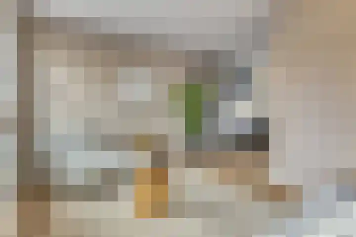 Begoniastraat 33 A Hilversum thumbnail 4