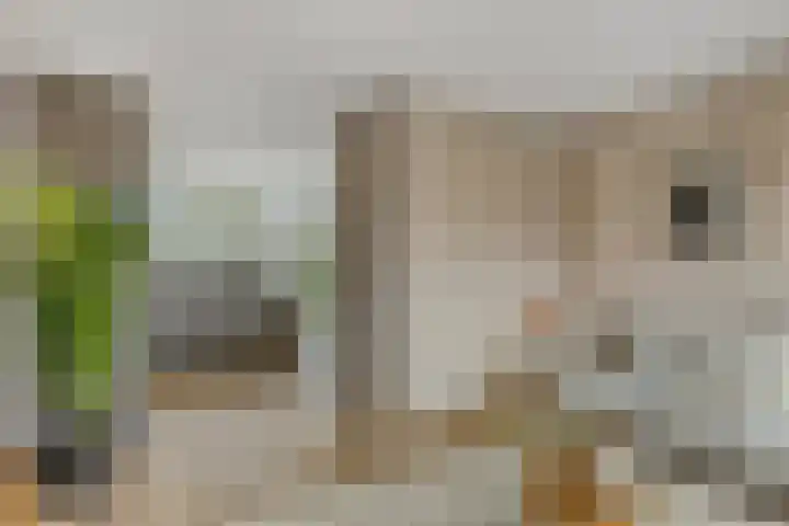 Begoniastraat 33 A Hilversum thumbnail 5