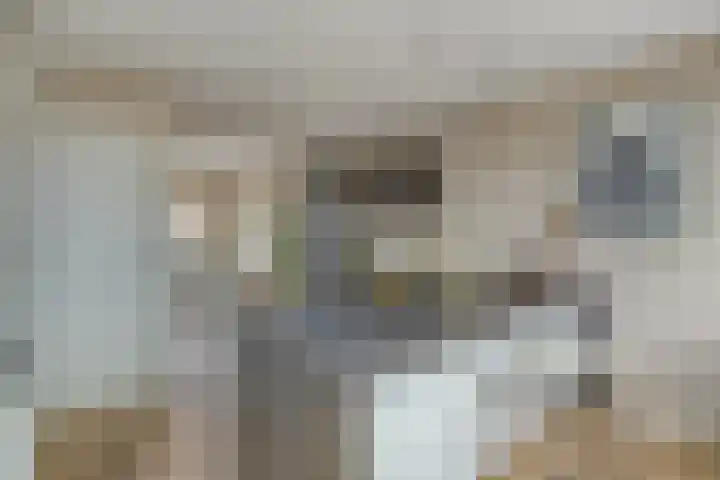 Begoniastraat 33 A Hilversum thumbnail 9
