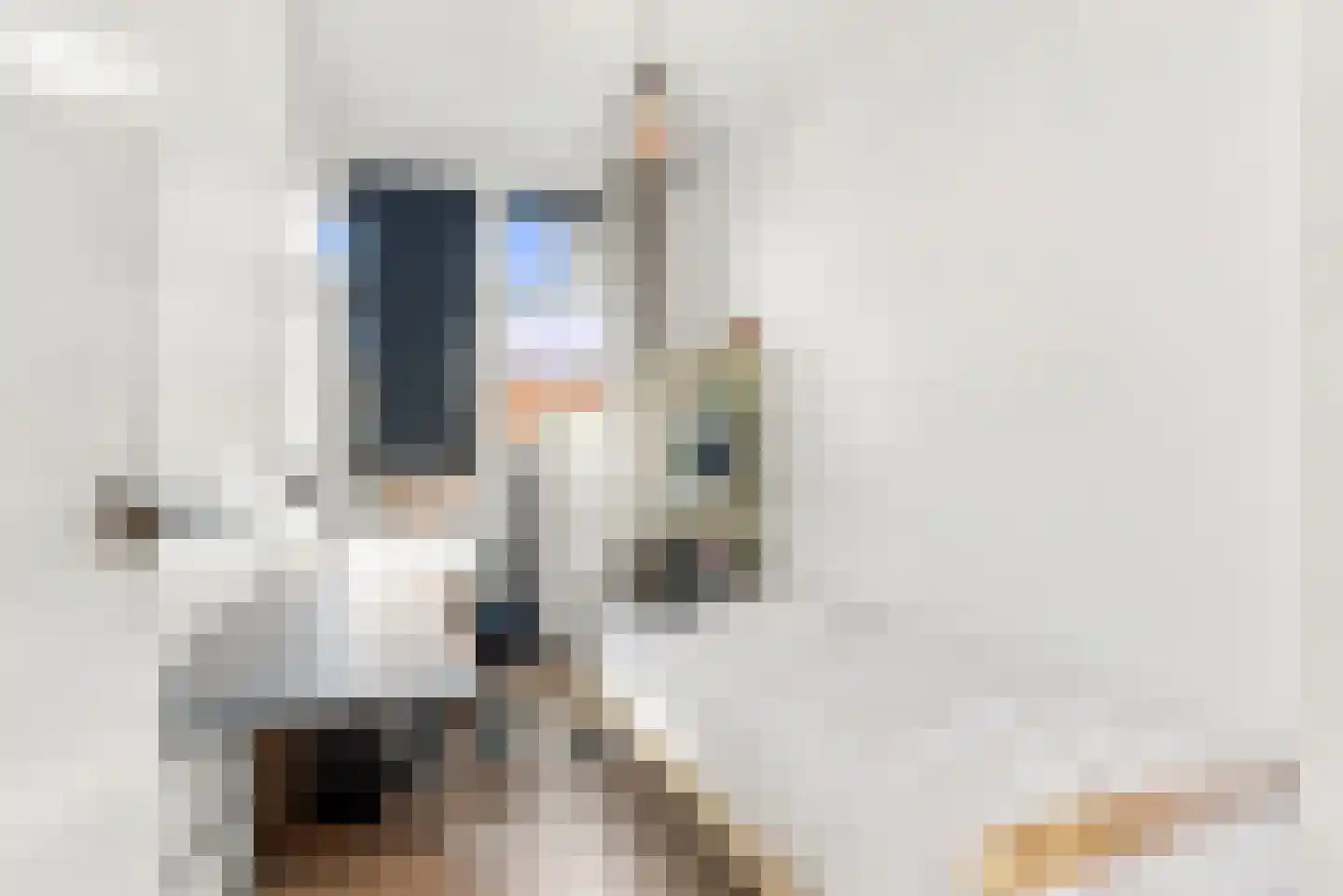 Begoniastraat 33 Den Haag thumbnail 18