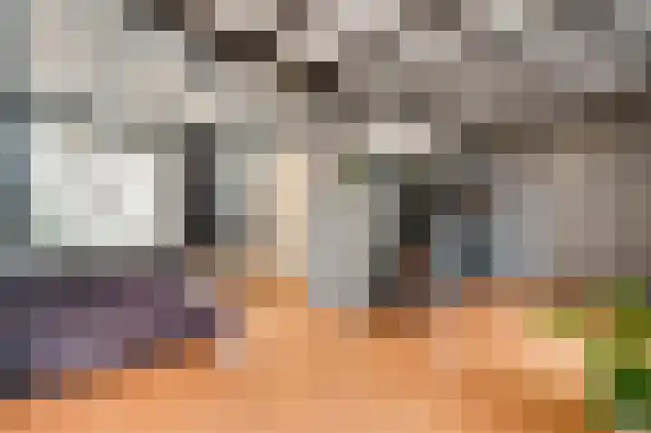 Begoniastraat 33 Ittervoort thumbnail 11