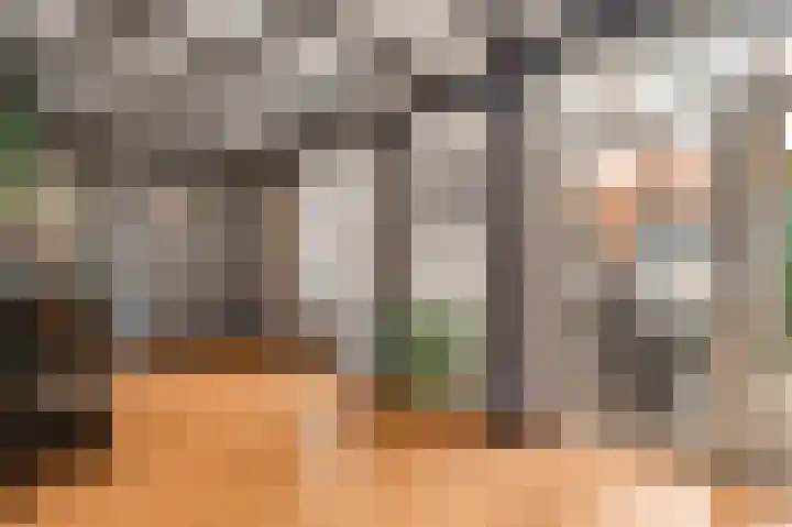 Begoniastraat 33 Ittervoort thumbnail 15