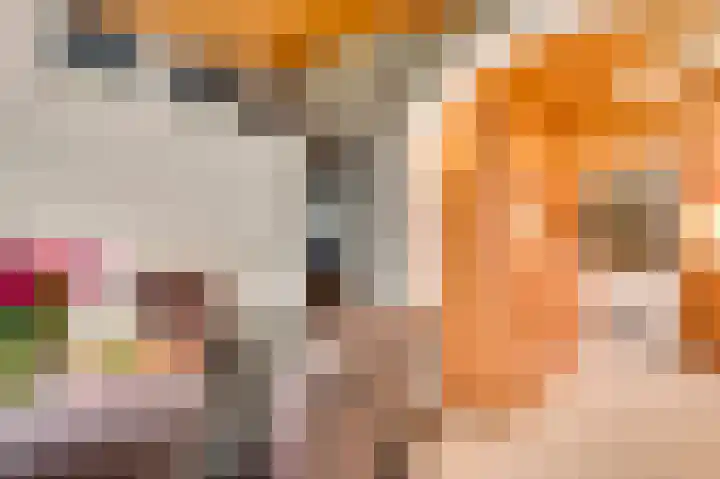 Begoniastraat 33 Ittervoort thumbnail 17