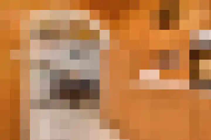 Begoniastraat 33 Ittervoort thumbnail 21
