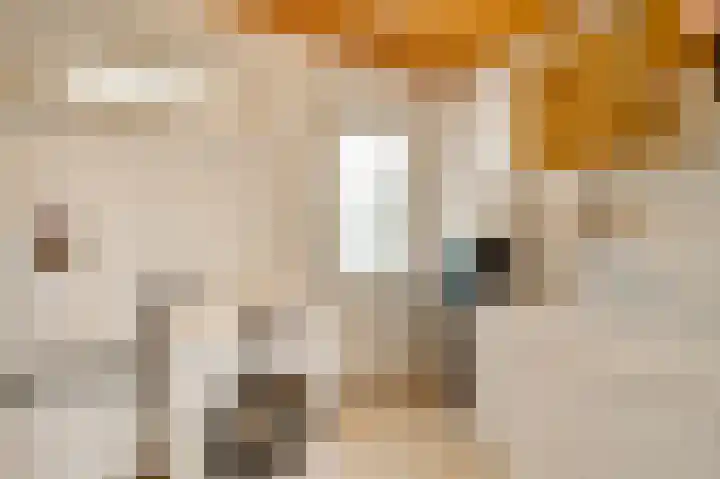 Begoniastraat 33 Ittervoort thumbnail 24