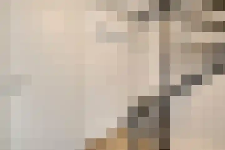 Begoniastraat 33 Ittervoort thumbnail 25