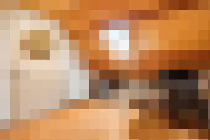 Begoniastraat 33 Ittervoort thumbnail 36