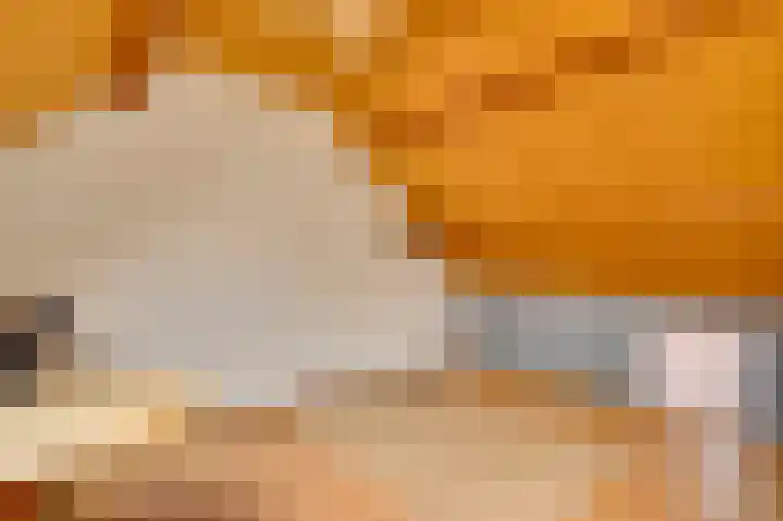 Begoniastraat 33 Ittervoort thumbnail 38