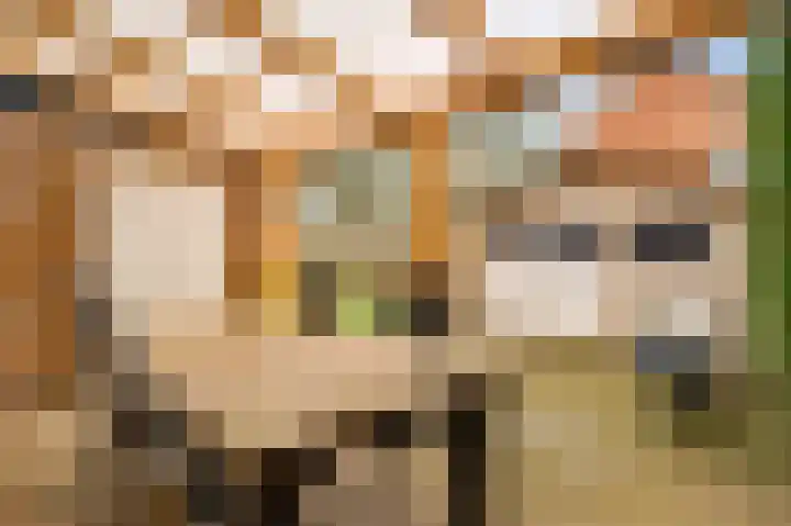 Begoniastraat 33 Ittervoort thumbnail 39