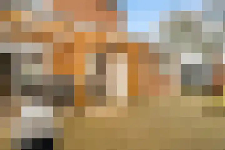 Begoniastraat 33 Ittervoort thumbnail 40