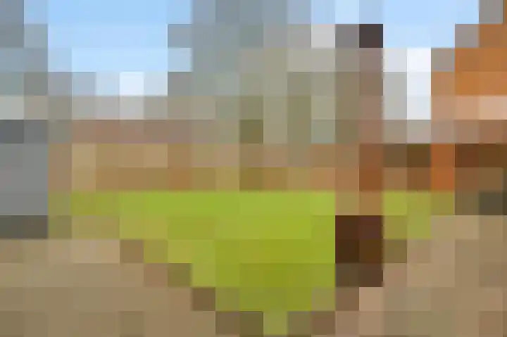 Begoniastraat 33 Ittervoort thumbnail 42