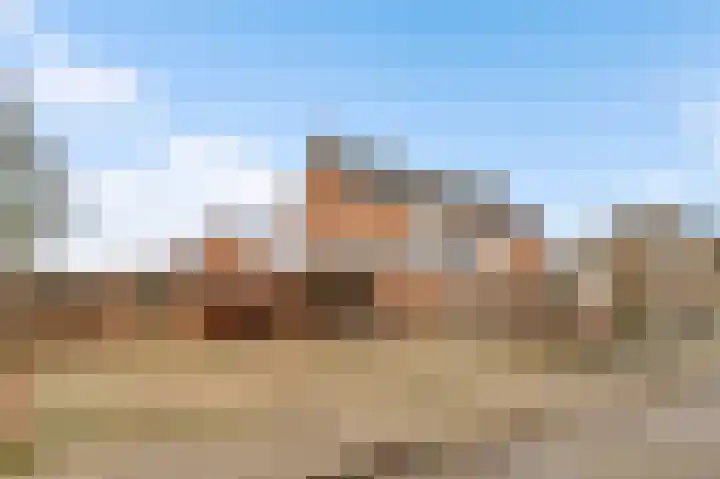 Begoniastraat 33 Ittervoort thumbnail 54