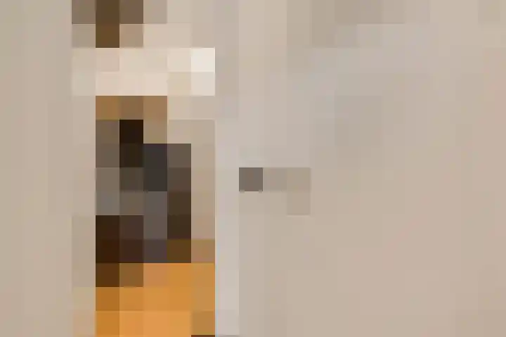 Begoniastraat 33 Ittervoort thumbnail 7