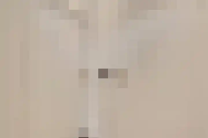 Begoniastraat 33 Ittervoort thumbnail 8