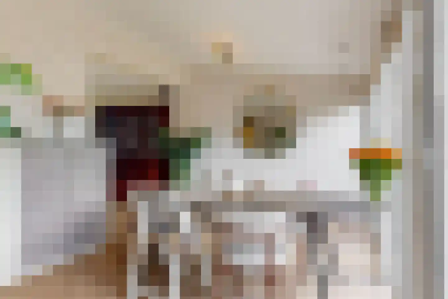 Begoniastraat 33 Tiel thumbnail 12