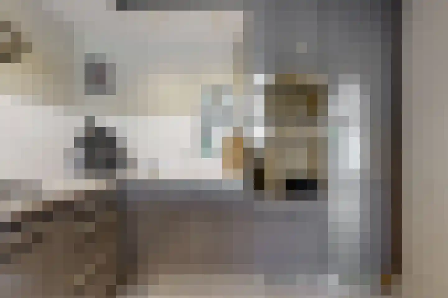 Begoniastraat 33 Tiel thumbnail 16