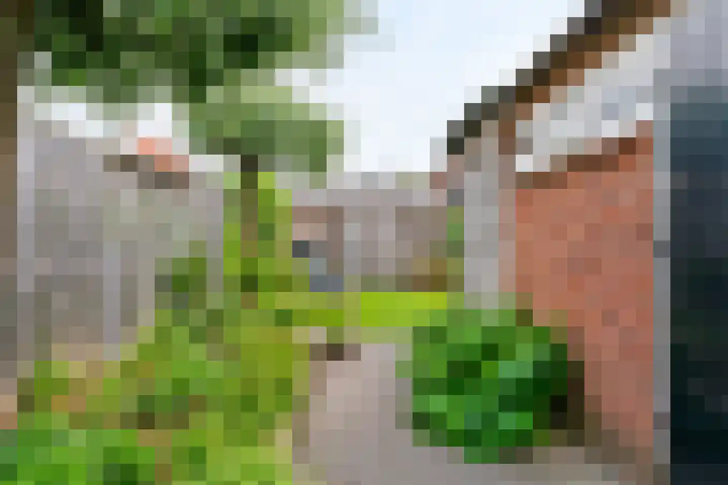 Begoniastraat 33 Tiel thumbnail 39