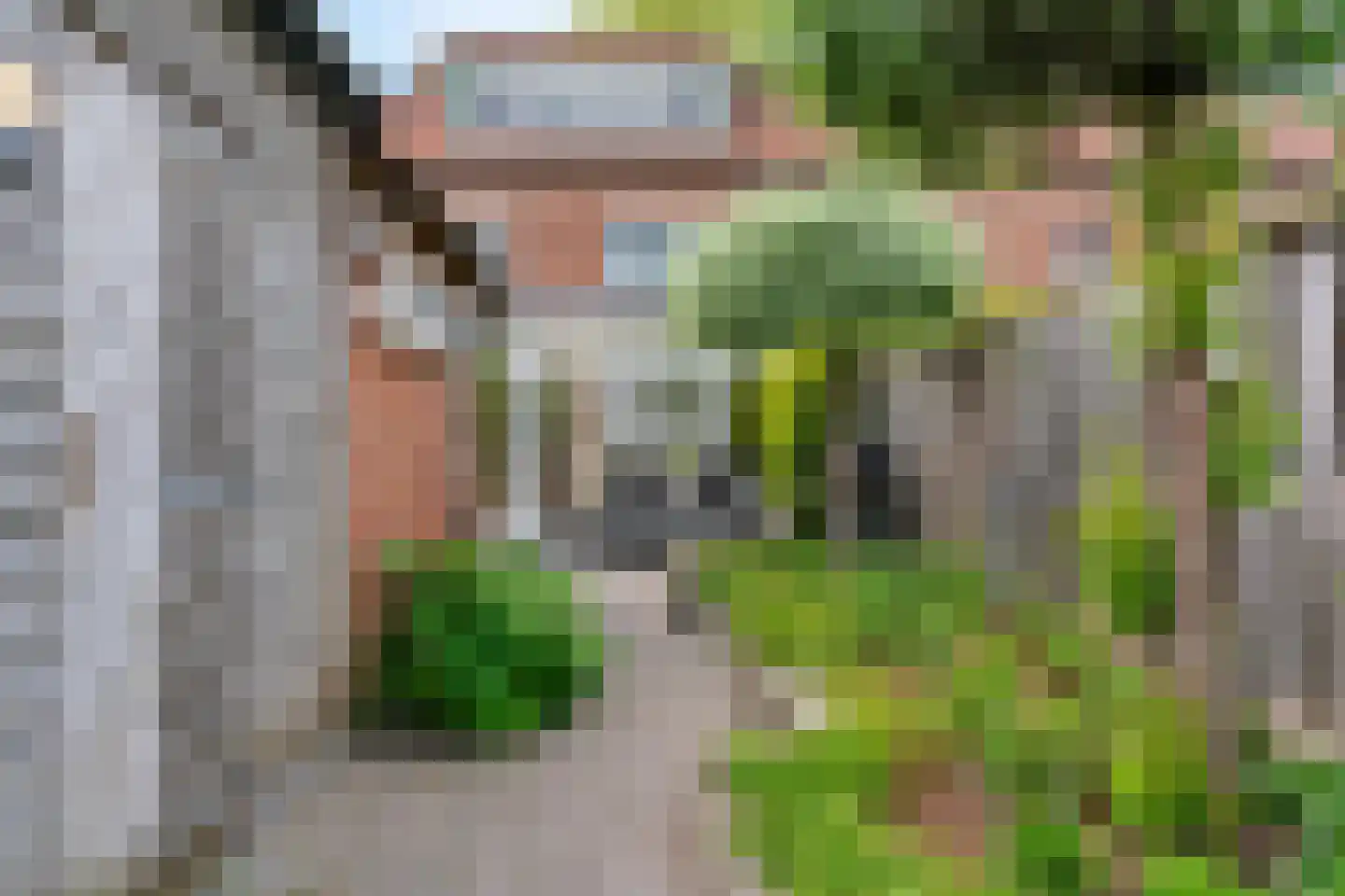 Begoniastraat 33 Tiel thumbnail 43